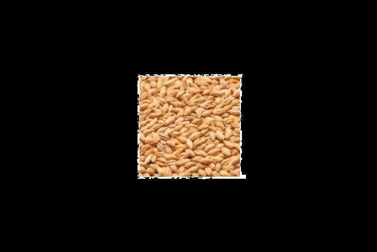 1kg - Coopers Premium Munich Malt