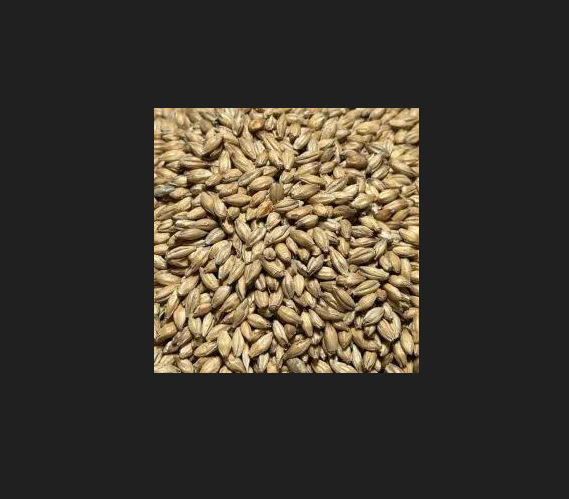 1kg - Coopers Premium Pale Malt