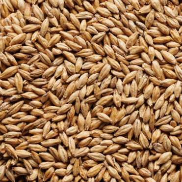 JW Munich Malt - per 100g