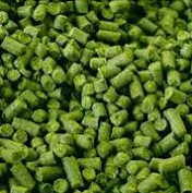 Sabro Hops – Pellets 12g