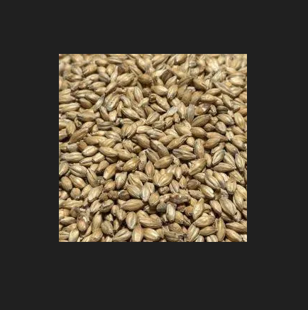 Coopers Premium Ale Malt - per/100g