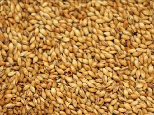 Joe White Wheat Malt – per/100g