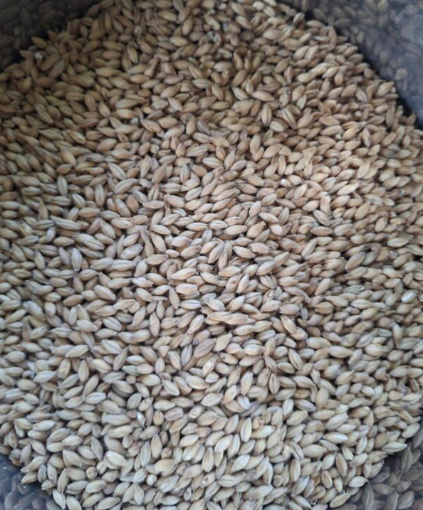 1kg - Joe White Tasmanian Distillers Malt
