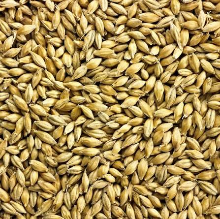 1kg - Simpsons Finest Pale Ale Golden Promise®