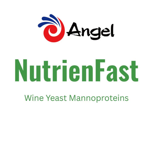 NUTRIENFAST - Angel Yeast Nutrition - 100g