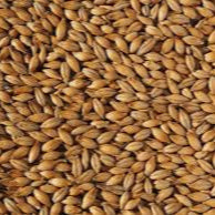 1kg - Ale Malt