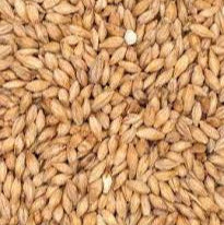 Pilsner Malt - per/100g