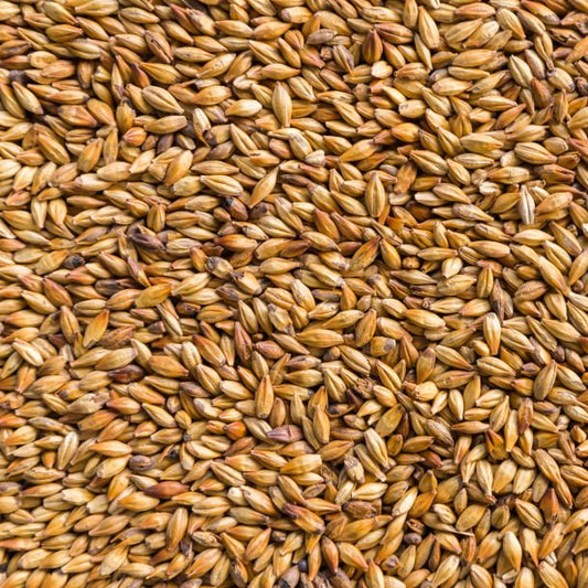 Premium Voyager Compass Pale Ale Malt - per 100g
