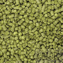 Goldings Finishing Hops - pellets 12g packets