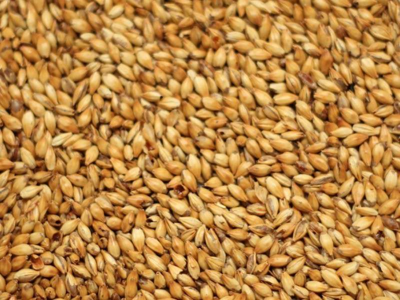 Gladfield Wheat Malt - per/100g