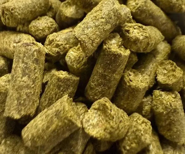 Callista Hops – Pellets 50g